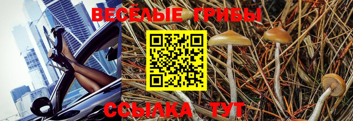 Псилоцибиновые грибы Psilocybine cubensis  Галлюциногенные грибы MAGIC MUSHROOMS  Вход с VPN  как найти наркотики  Волгоград 
