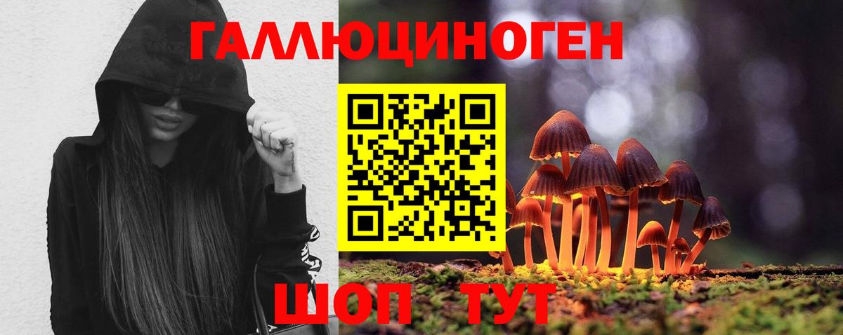 Псилоцибиновые грибы мицелий Волгоград